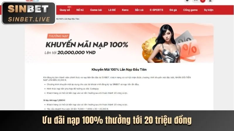 Hoàn trả cược tại VIP Nhat